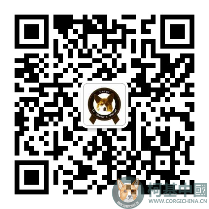 mmqrcode1558074705678.png