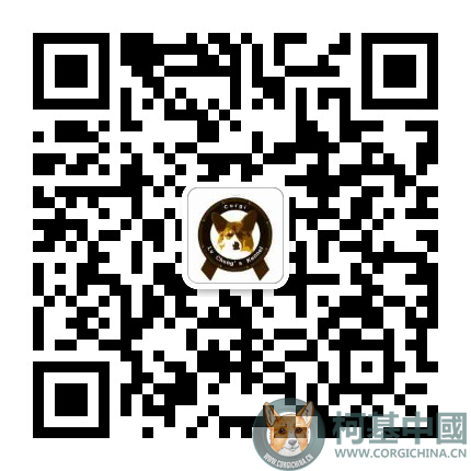 mmqrcode1530015084888.png