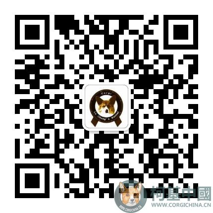 mmqrcode1543980574006.png