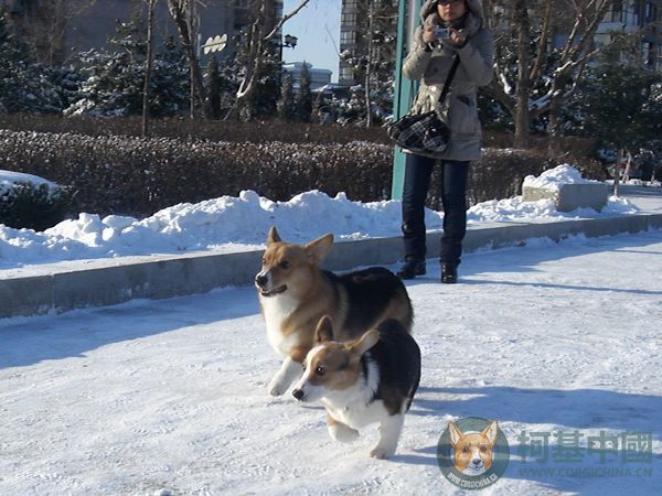 两小无猜