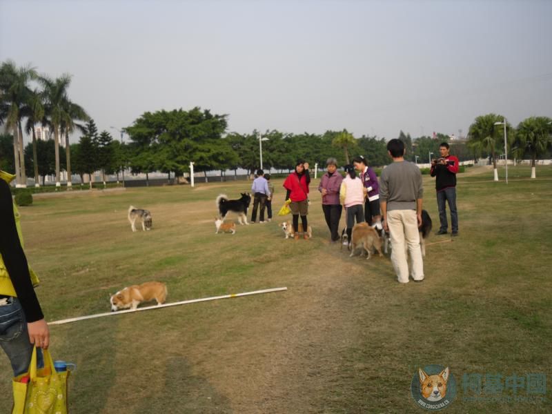 11-6大草地大合照.jpg