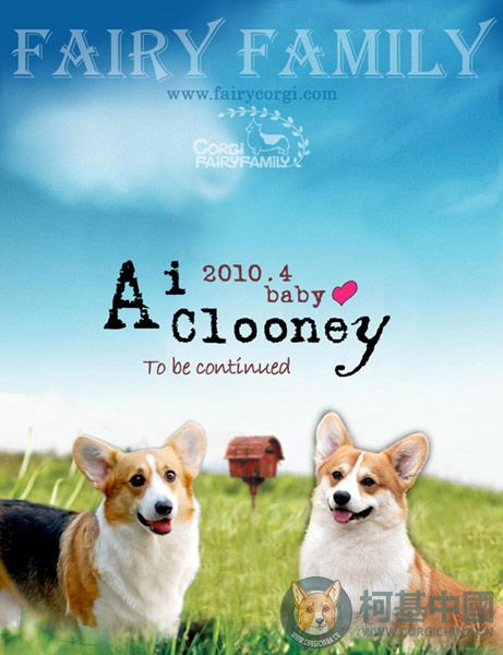 Ai+Clooney