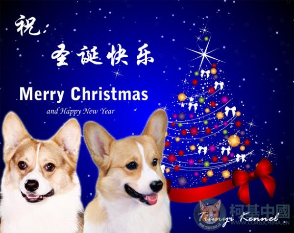 xmas贺卡_副本.jpg